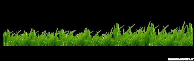 PNG Grass Image – FREE DOWNLOAD
