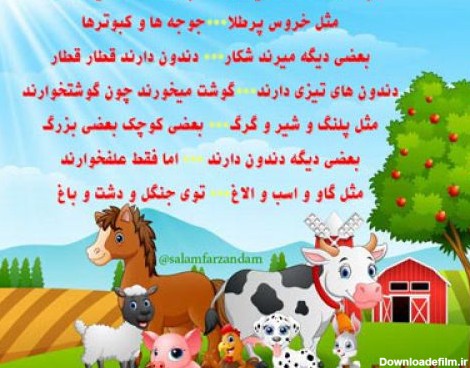 شعر کودکانه غذای حیوانات