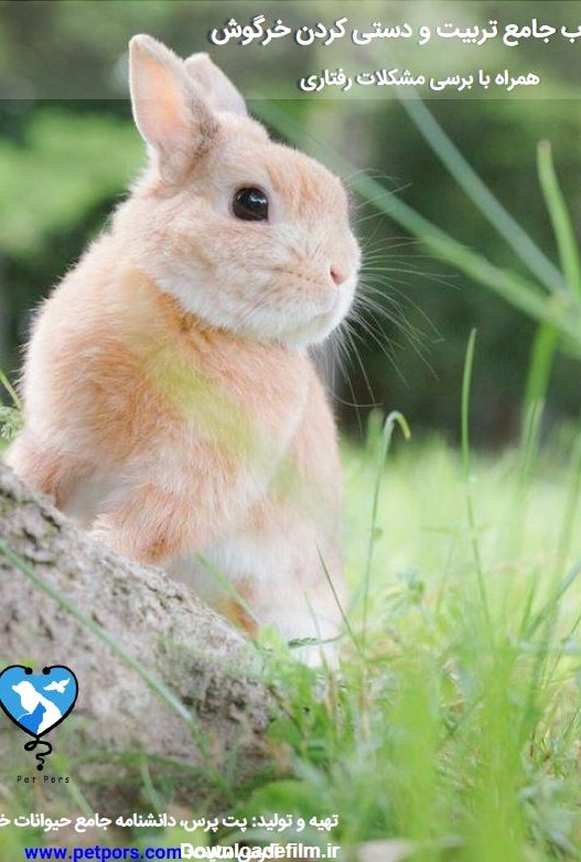 کتاب الکترونیکی تربیت و دستی‌کردن خرگوش + بررسی مشکلات رفتاری