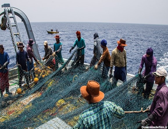 نماینده مجلس: چینی ها در ساحل دریای جاسک ماهی‌ها را غارت می‌کنند