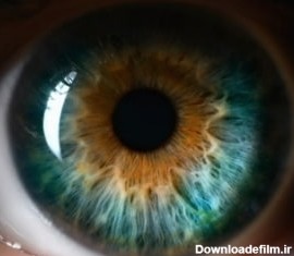 آمار جالب جمعیت جهان براساس رنگ چشم ؛ کدام رنگ چشم کدام کشور؟
