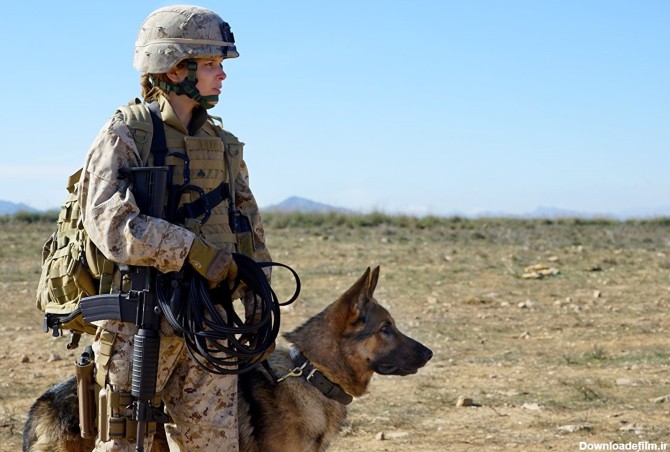 سینماگران آمریکایی چگونه از "سگ" قهرمان جنگی می سازند + عکس ...