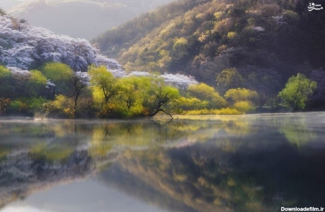 تصاویر | طبیعت خارق‌العاده کره جنوبی