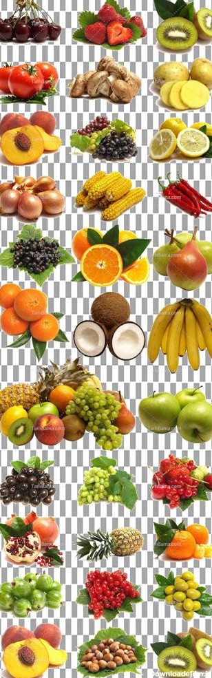 تصویر با کیفیت انواع میوه