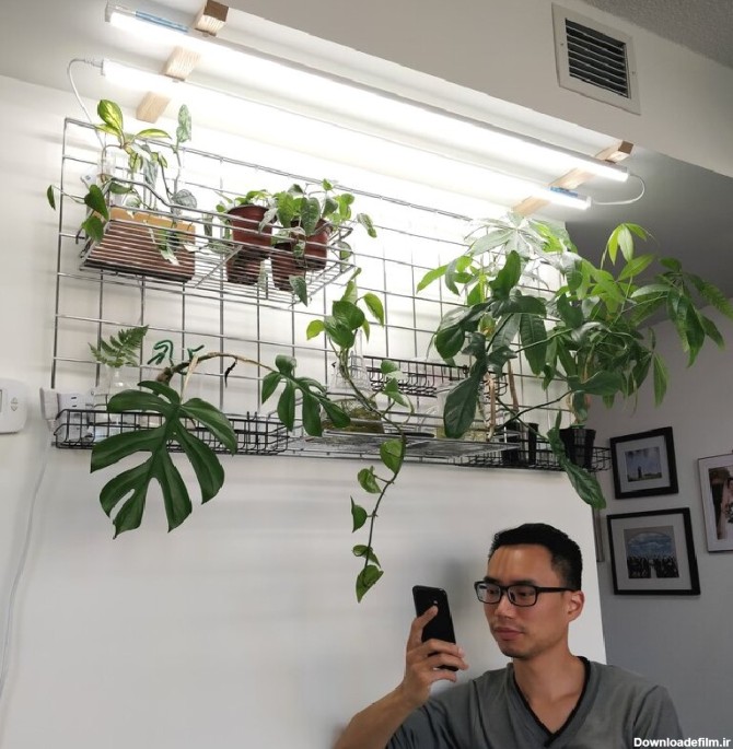 کاربرد نور مصنوعی برای گیاهان آپارتمانی + نحوه نورپردازی ...
