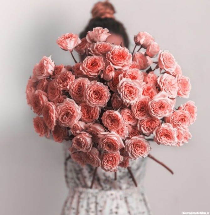 عکس پروفایل دخترونه دختری با گل های رز صورتی – دانلود رایگان
