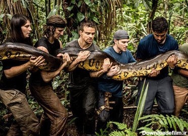 حقایق عجیب درباره جنگل آمازون +تصاویر