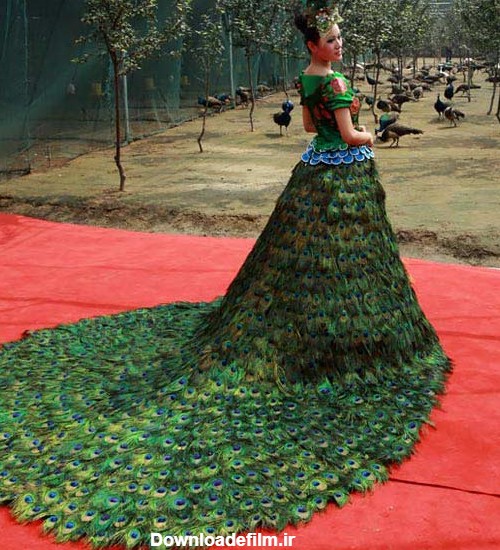 لباس عروس با 3 هزار پر طاووس/ عکس