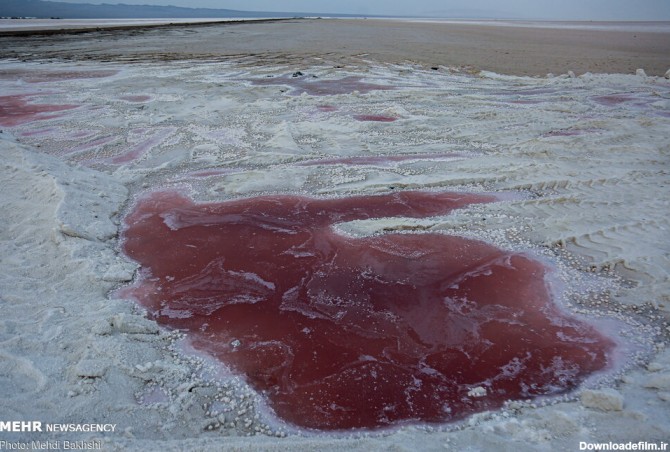 آخرین خبر | عکس/ خشک شدن دریاچه نمک «حوض سلطان» قم