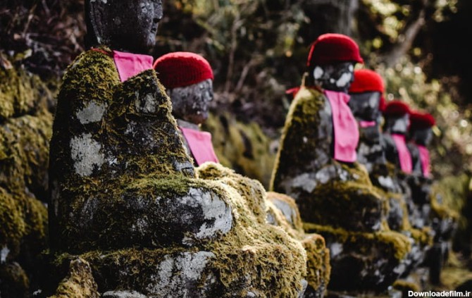 تعدادی مجسمه سنگی با کلاه قرمز در ژاپن