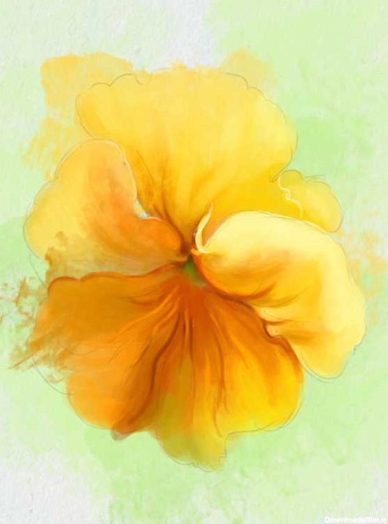 دانلود تصویر نقاشی گل بنفشه زرد
