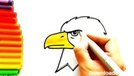 آموزش نقاشی حیوانات بسیار زیبا | نقاشی عقاب برای کودکان
