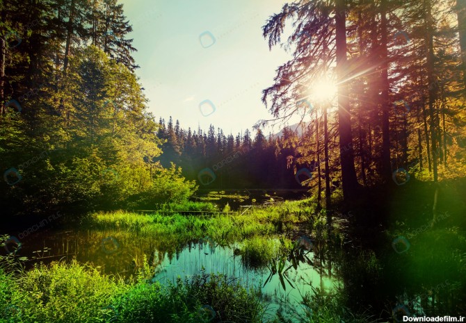 تصویر استوک طلوع خورشید در طبیعت کنار دریاچه - مرجع دانلود فایلهای ...