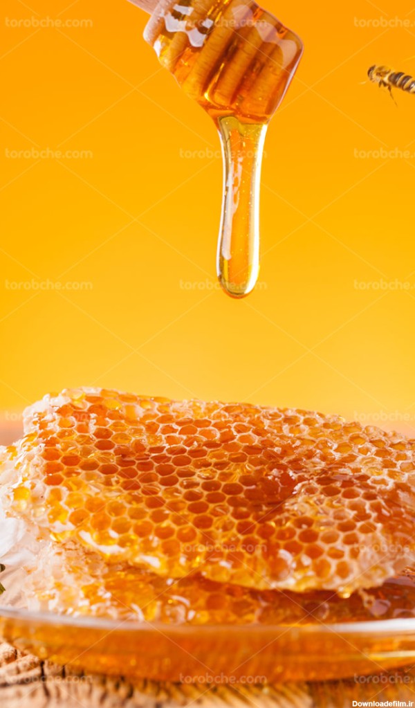 عکس های از عسل طبیعی