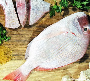 ماهی شانک صورتی تازه ۱ کیلویی - خورجین بندرعباس