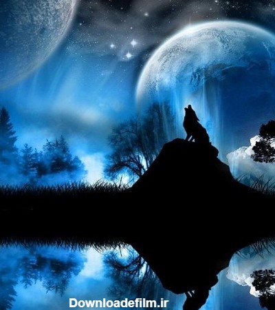 عکس گرگ و ماه