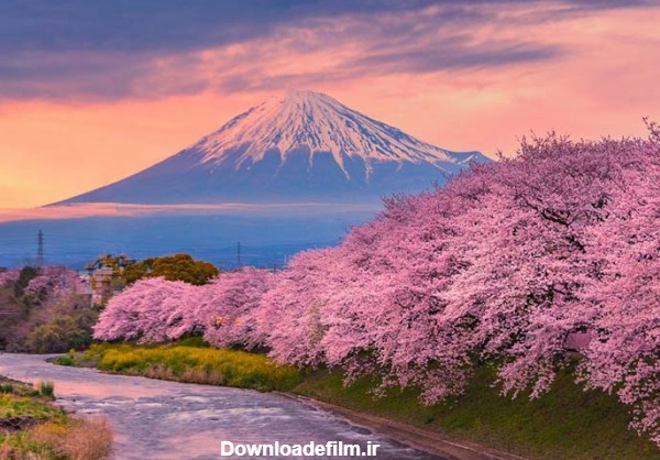 کوه فوجی - ژاپن