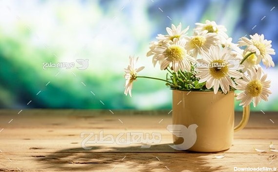 عکس گل سفید در گلدان لیوانی
