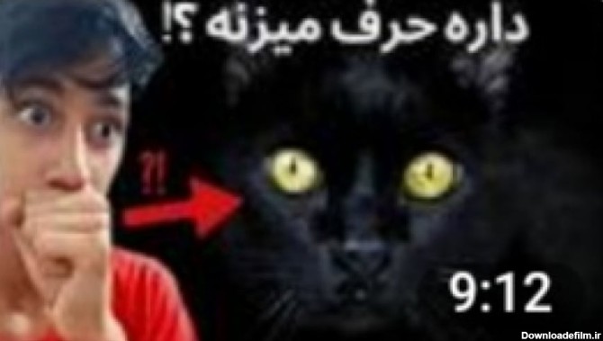 عکس گربه سیاه وحشتناک
