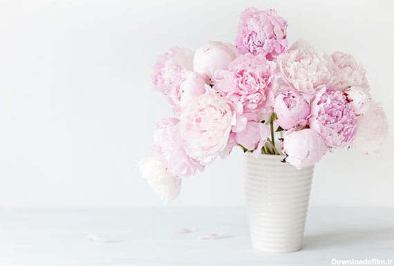 عکس گل در گلدان سفید