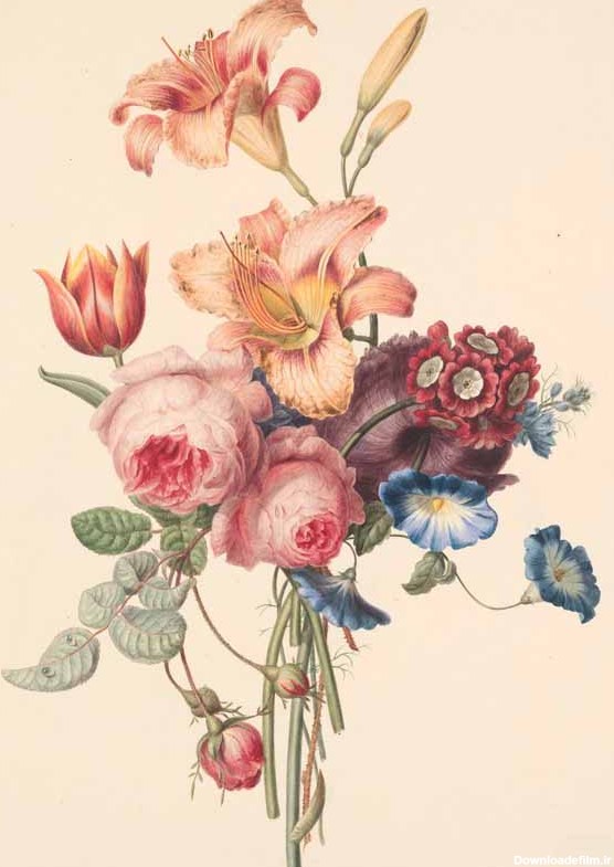 عکس نقاشی انواع گل ها
