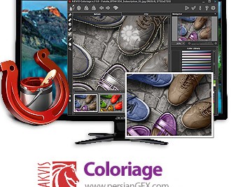 دانلود نرم افزار تبدیل عکس سیاه و سفید به رنگی - AKVIS Coloriage v11.5