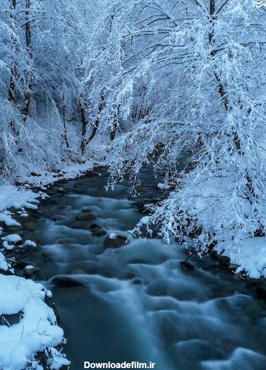 مشرق نیوز - عکس/ رودخانه‌ زمستانی در شهسوار