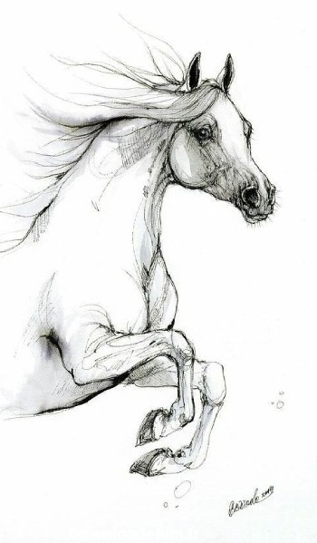 عکس اسب طراحی
