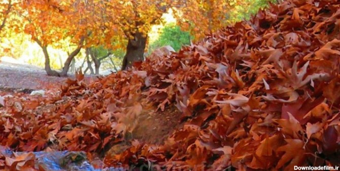 طبیعت زیبای پاییزی یاسوج+تصاویر | خبرگزاری فارس