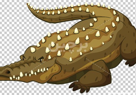 Borchin-ir-angry corocodile cartoon transparent animal large photo_png عکس کارتونی تمساح با فرمت png2