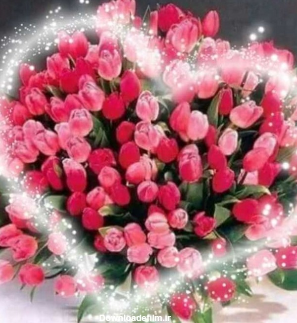 یک دسته گل زیبا - عکس ویسگون