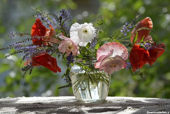 خبرآنلاین - تصاویری از گل و گلدان های فوق العاده زیبا؛ ایده ...