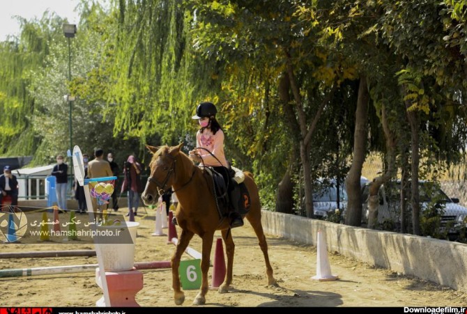 آخرین خبر | اسب سواری کودکان