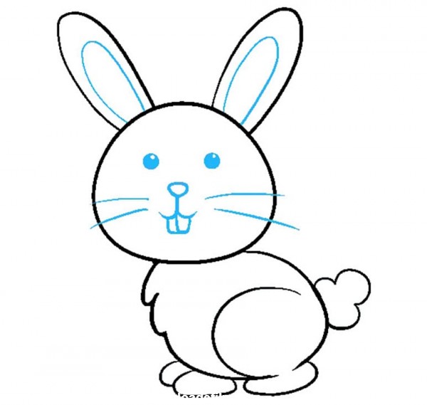 عکس خرگوش برای نقاشی کشیدن