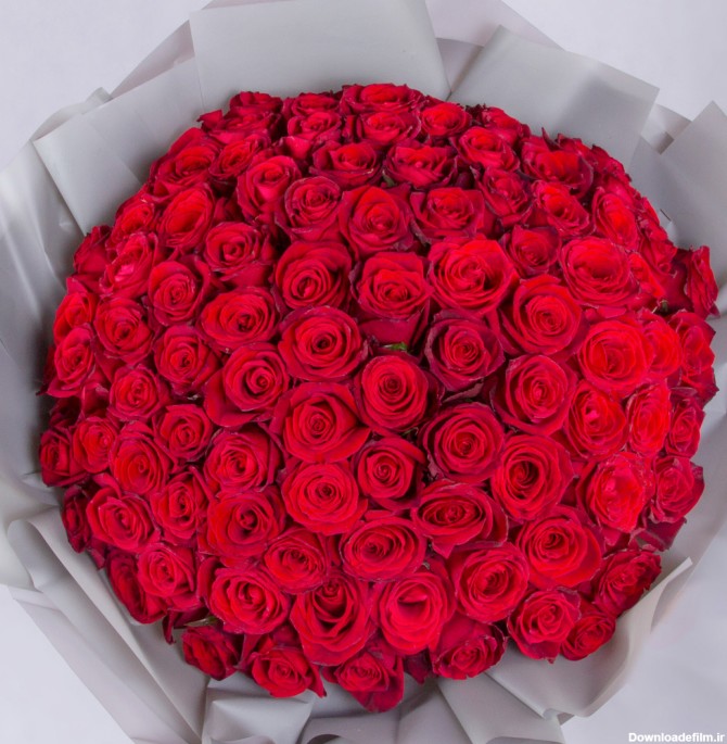 خرید دسته گل رز هلندی قرمز کد 6320(ارسال رایگان)|باختر