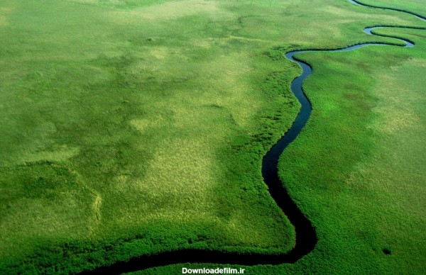 تصویر بسیار زیبا از رودخانه آمازون در جنگل های سرسبز زیبا