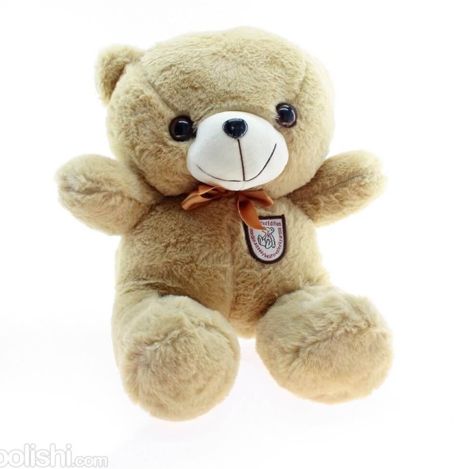خرس تدی آرتیست | عروسک پولیشی
