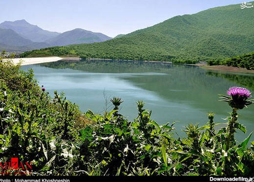 عکس: طبیعت آرامش بخش شمال ایران