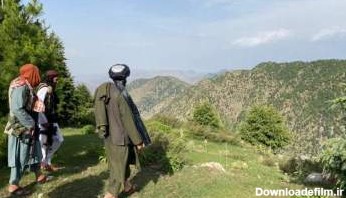 جمهور - وزارت دفاع طالبان شایعات حمله بر ملایعقوب را رد کرد