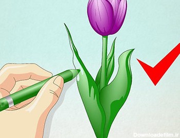 آموزش کشیدن نقاشی گل لاله/ تصاویر