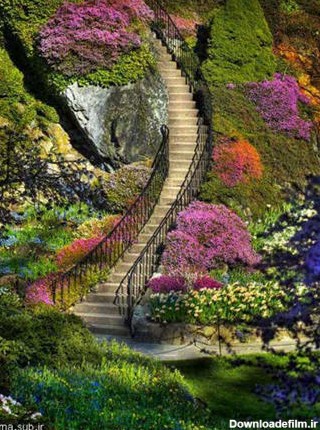 عکس زیباترین باغ دنیا | عکس های چشم نواز | عکس های طبیعت زیبا