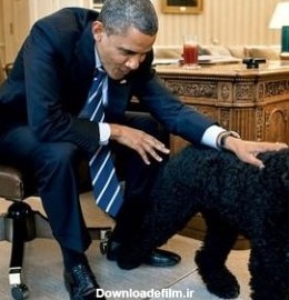 سگ اوباما