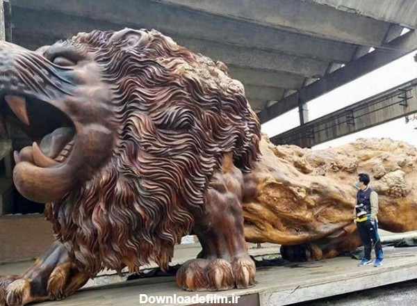 شیر غول پیکر شرقی»، بزرگترین مجسمه ساخته شده از «سرخ چوب» در دنیا ...