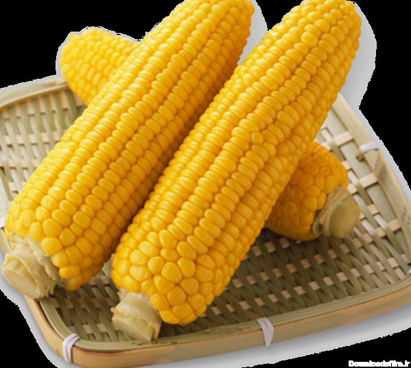 عکس PNG ذرت رایگان - Corn Transparent PNG