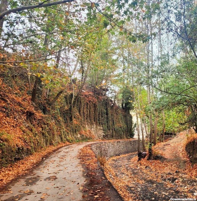 طبیعت پاییزی زیبای روستای «خادر» در شاندیز