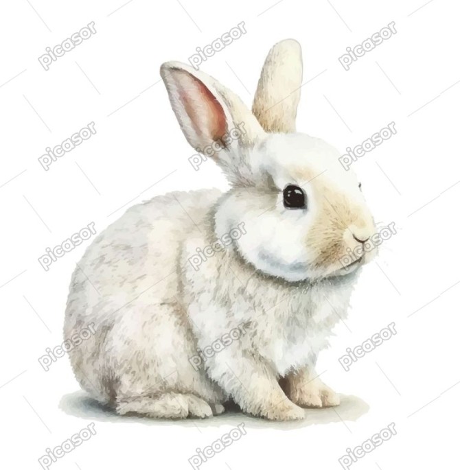 وکتور نقاشی خرگوش سفید طرح واقعی سبک آبرنگ