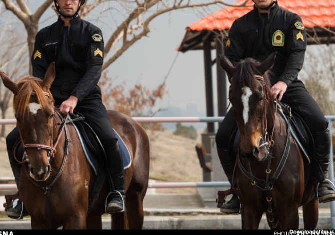 پلیسهایی که به جای الگانس سوار اسب می شوند/ ایران تنها 10 ...