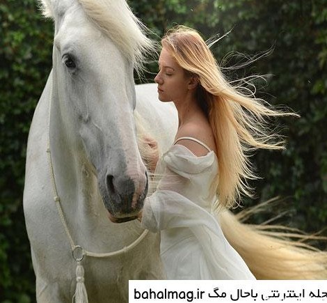عکس اسب سفید زیبا در طبیعت