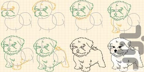 آموزش طراحی انواع سگ - عکس برنامه موبایلی اندروید