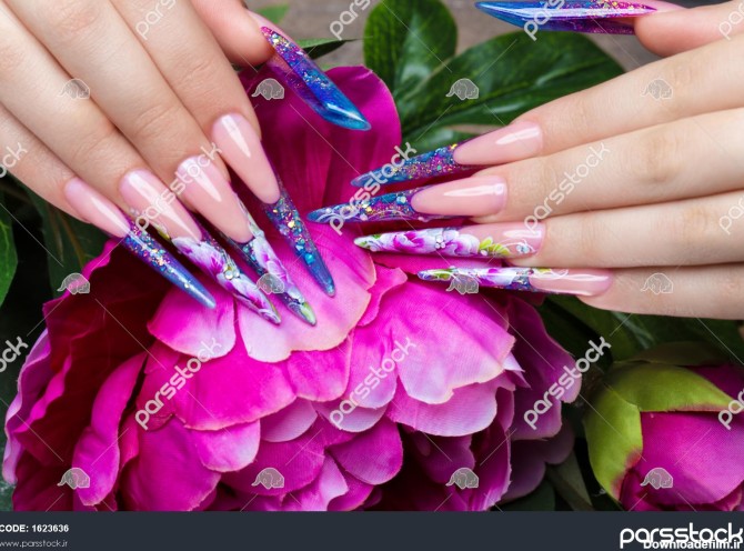 مانیکور بلند زیبا با گل روی ناخن انگشتان زن عکس نزدیک عکس گرفته ...